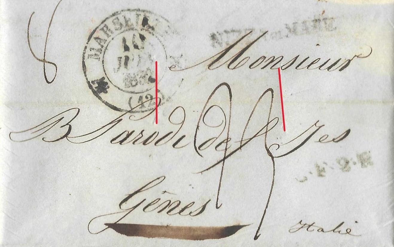 Les 2 incisions pour la purification chimique sont mises en évidence en rouge.